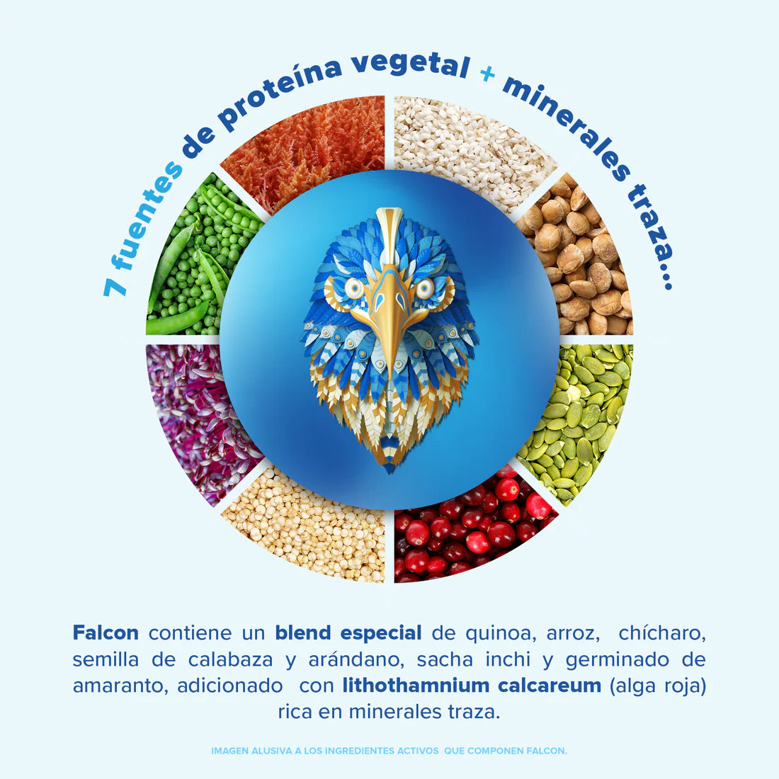 Falcon Protein Chocolate 1.17 kg - 39 Servicios