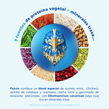 Falcon Protein Chocolate 1.17 kg - 39 Servicios